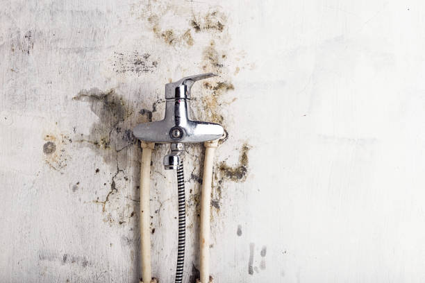 Best Mold Cleaning Services  in Jarrell, TX