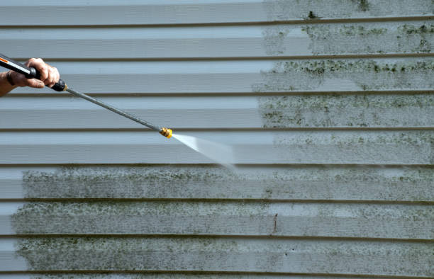 Best Mold Removal Process  in Jarrell, TX